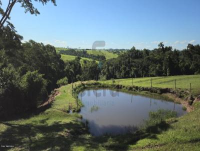 Stio para Venda, em Presidente Prudente, bairro Montalvo